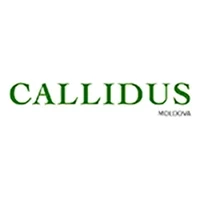 Callidus Moldova